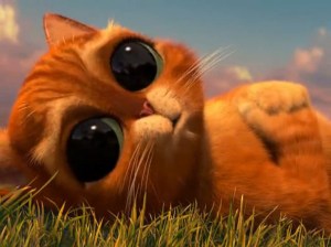 puss_in_boots_by_alicevon_stevart-d4r10jg