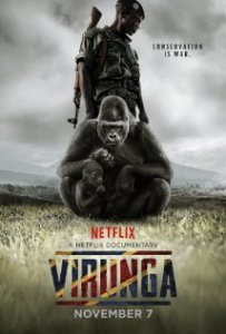 virunga2014a