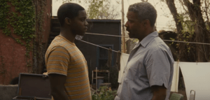 fences2016e