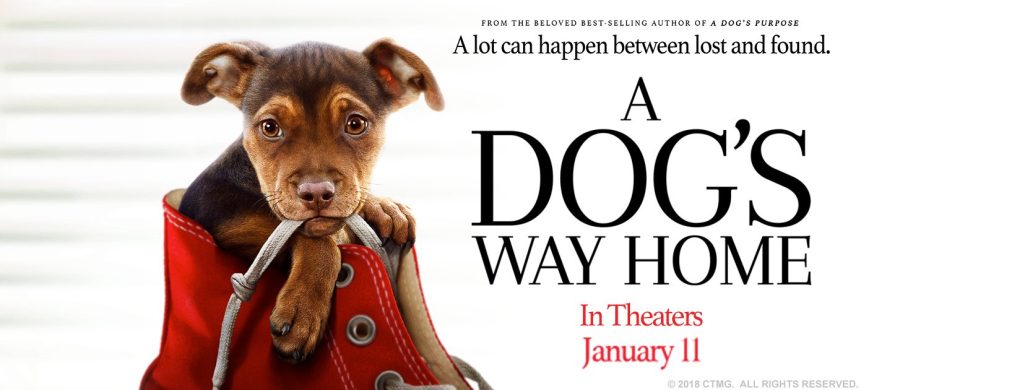 A Dog’s Way Home&nbsp;(2019)