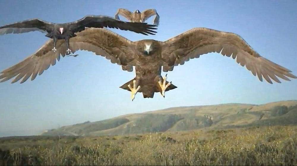 [31 Days of Horror XIII] Day 10 – Birdemic 3: Sea Eagle&nbsp;(2022)